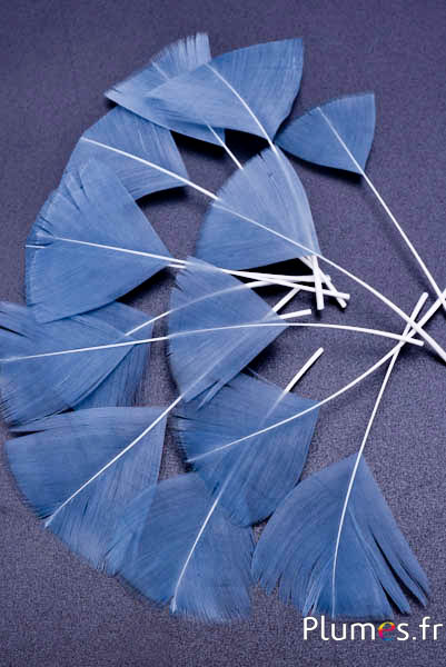 Blütenblätter aus Federn - 6-8 cm x 3-4 cm - eisen